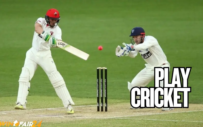play cricket