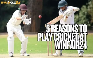 play cricket